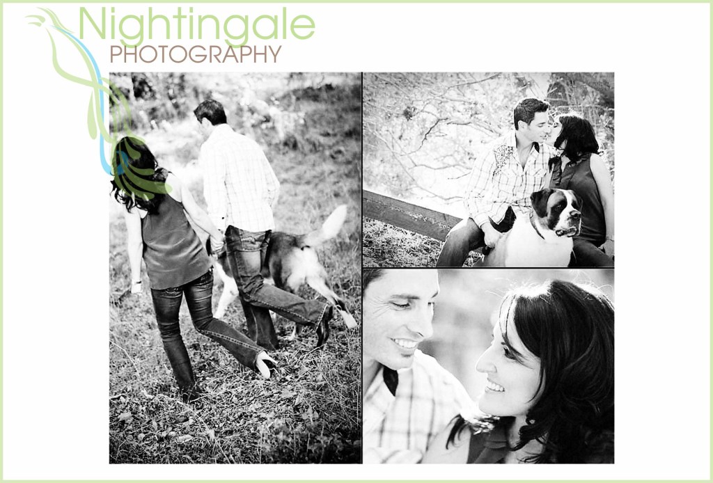 Nightingale Photography